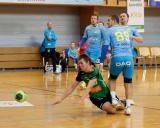 Pilt: AA-Viljandi põlvili.jpg