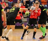 Pilt: Viitkar-Timmo.jpg