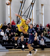 Pilt: RAA_Karu_SS.jpg